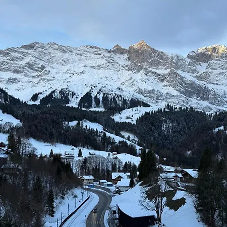 Mountain View *