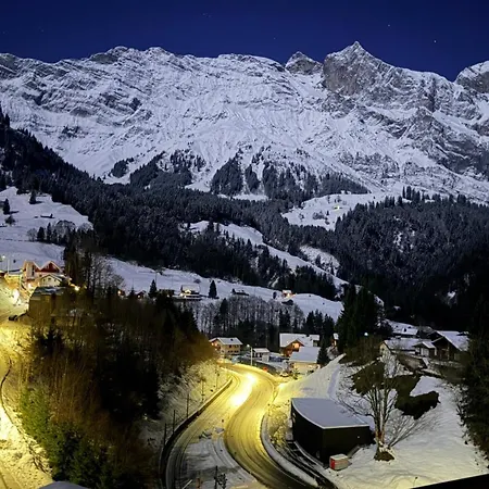 Mountain View Tatil Evi Engelberg